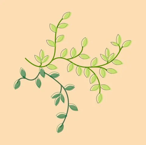 Vector illustration twig with leaves. Patten with green leaf. Stock Illustration