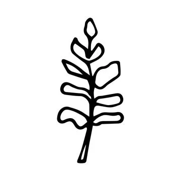 Vector illustration of a twig in a linear style. Stock Illustration