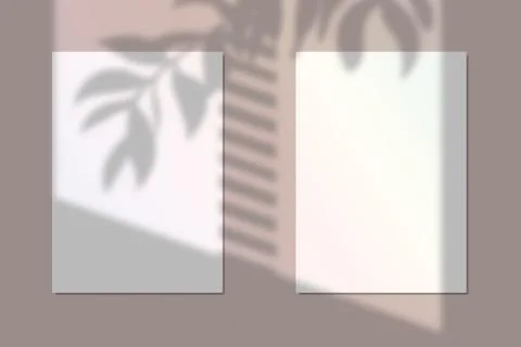 Vector illustration of two a4 paper mockups with realistic floral shadow overlay Stock Illustration