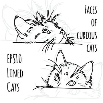 Vector illustration of two curious cat muzzles Stock Illustration