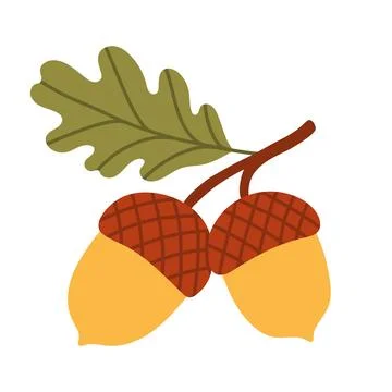 Vector illustration of two golden acorns on a stem with a green oak leaf Stock Illustration