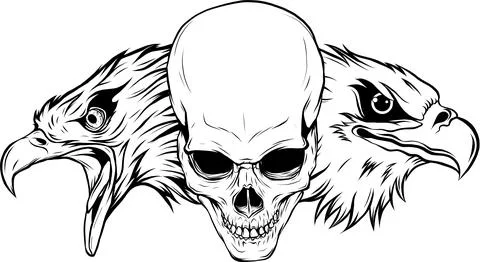 Vector illustration of two head eagle with skull 스톡 일러스트