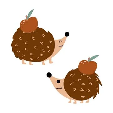 Vector illustration of two hedgehogs . Stock Illustration