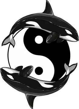 Vector illustration of two killer whale around Yin Yang symbol Stock Illustration