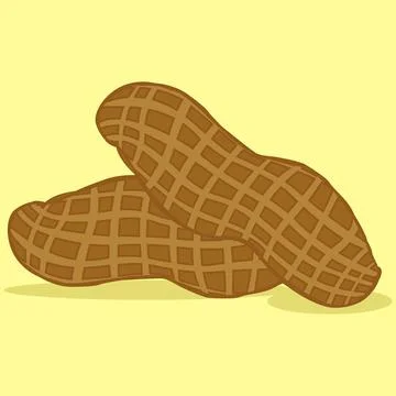 Vector illustration of the two roasted peanut Stock Illustration