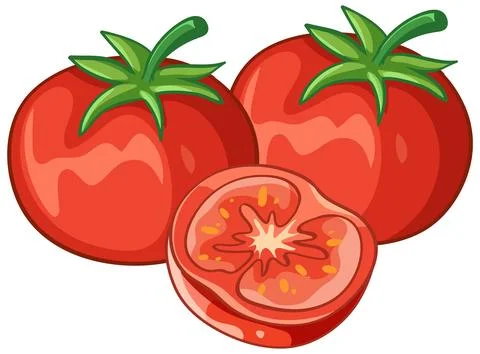 Vector Illustration of Two Whole Red Tomatoes and One Sliced Half Stock Illustration