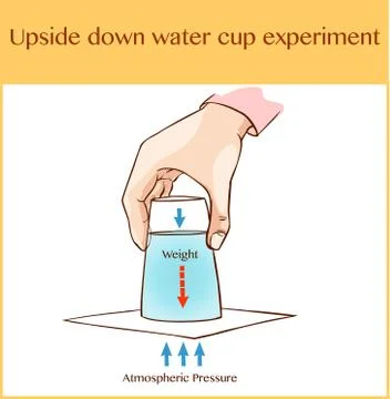 Vector illustration of a upside down water cup experimen Stock Illustration