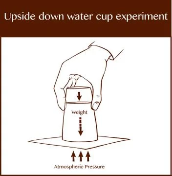 Vector illustration of a upside down water cup experimen Stock Illustration