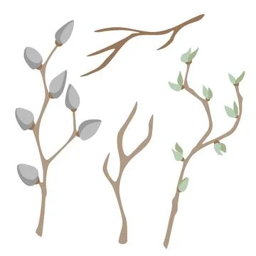 Vector illustration of various branches with leaves and buds in a minimalis.. Stock Illustration