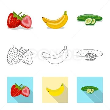 Vector illustration of vegetable and fruit symbol. Collection of vegetable and Stock Illustration