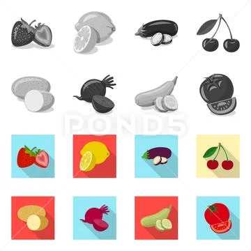 Vector illustration of vegetable and fruit icon. Collection of vegetable and Stock Illustration