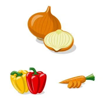 Vector illustration of vegetable and fruit symbol. Set of vegetable and Stock Illustration