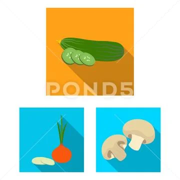 Vector illustration of vegetable and fruit symbol. Collection of vegetable and Stock Illustration