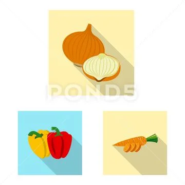 Vector illustration of vegetable and fruit sign. Collection of vegetable and Stock Illustration