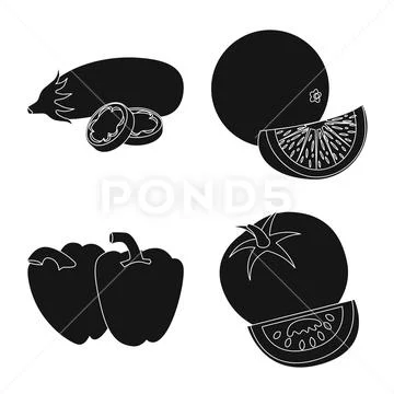 Vector illustration of vegetable and fruit logo. Collection of vegetable and Stock Illustration