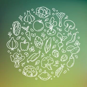 Vector illustration of vegetable in the circle. Stock Illustration