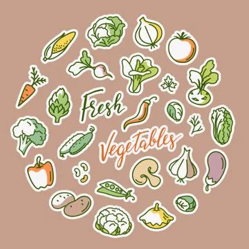 Vector illustration of vegetable with a place for text. Stock Illustration