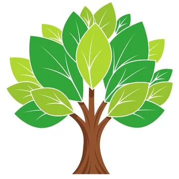 Vector illustration of a vibrant green tree with detailed leaves foliage and  Stock Illustration
