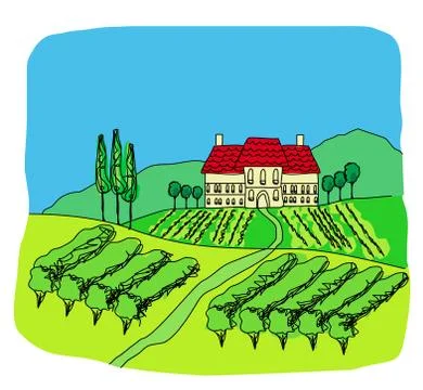Vector illustration of vineyard Stock Illustration