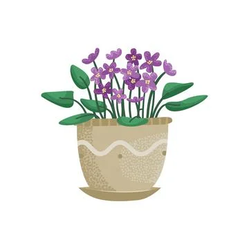 Vector illustration of a violet in a pot. Stock-Illustration