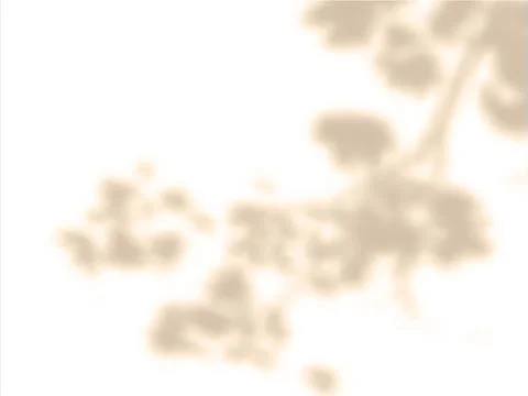 Vector illustration of a wall background with a blurred shadow of a tree branch Stock Illustration