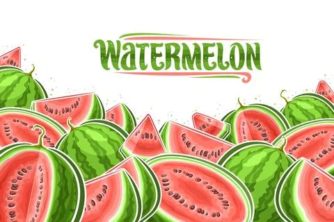 Vector illustration of Watermelons Stock Illustration
