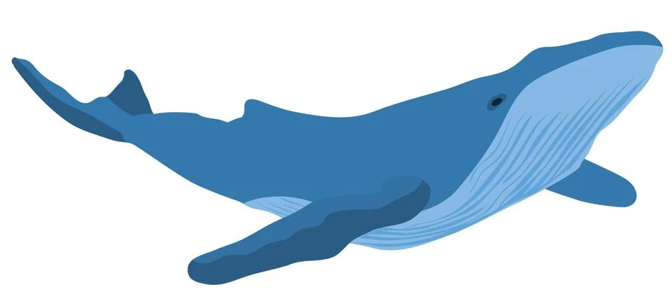 Vector Illustration Whale Illustrazione stock