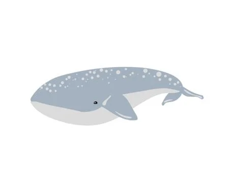 Vector illustration of whale. Stock Illustration