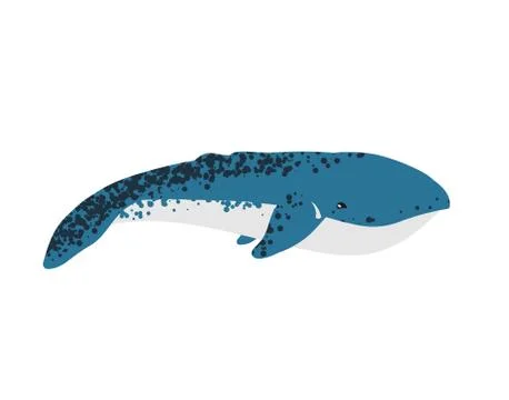 Vector illustration of whale. Stock Illustration