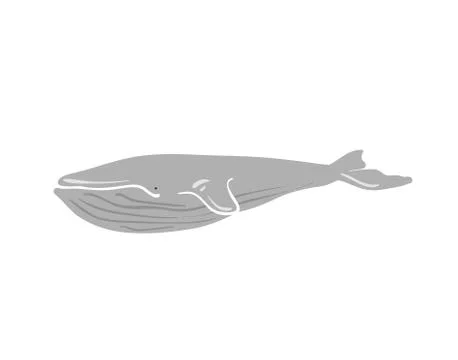 Vector illustration of whale. Stock Illustration