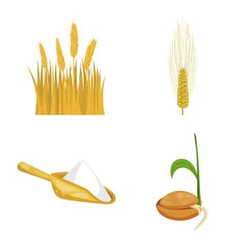Vector illustration of wheat and corn logo. Set of wheat and harvest vector icon Stock Illustration