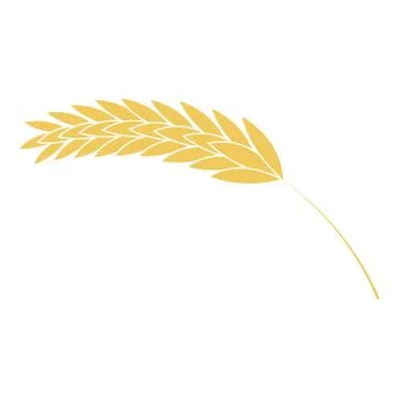Vector illustration of wheat ear simple icon in flat style isolated on white 스톡 일러스트