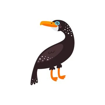 Vector illustration on white background, cormorant bird Stock-Illustration