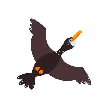 Vector illustration on white background, cormorant bird Stock Illustration