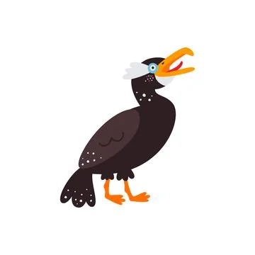 Vector illustration on white background, cormorant bird Stock Illustration