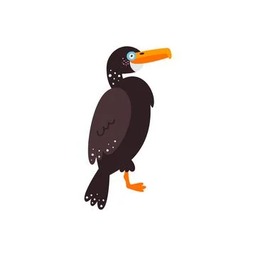 Vector illustration on white background, cormorant bird Stock Illustration