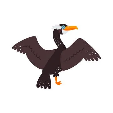 Vector illustration on white background, cormorant bird Stock Illustration