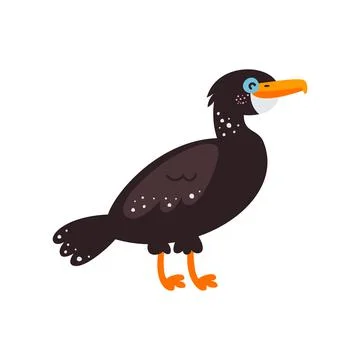 Vector illustration on white background, cormorant bird Stock Illustration