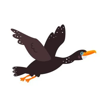 Vector illustration on white background, cormorant bird Stock-Illustration