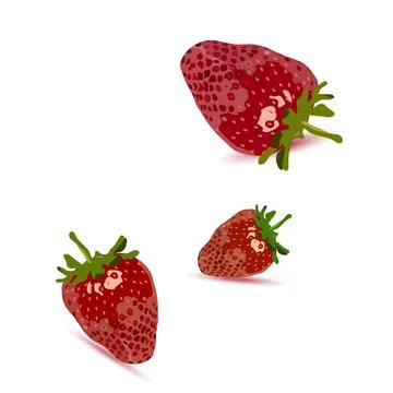 Vector illustration on white background. Fresh berries with green leaves an.. Ilustración de archivo