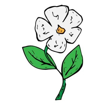 Vector illustration of a white flower. hand drawn cartoon beautiful flower. Illustrazione stock