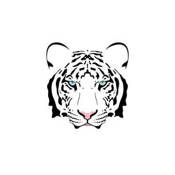 Vector illustration of a white tiger head with blue eye. Stock Illustration