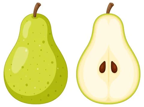 Vector Illustration of Whole and Half Cut Green Pear Fruit Stock Illustration