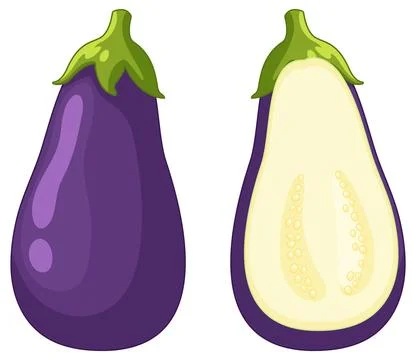 Vector Illustration of Whole and Half Cut Purple Eggplant Stock Illustration