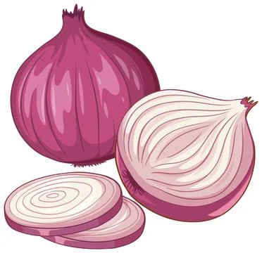 Vector Illustration of Whole and Sliced Red Onion Bulbs Stock Illustration