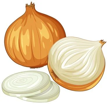 Vector Illustration of Whole and Sliced Yellow Onions on White Background Stock Illustration