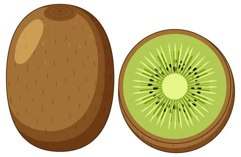 Vector Illustration of Whole Kiwi Fruit and Fresh Green Slice Stock Illustration