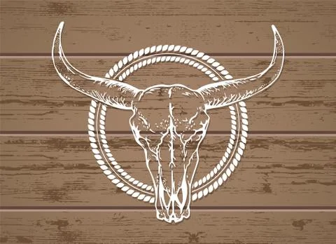 Vector illustration with a wild buffalo skull. Stock Illustration