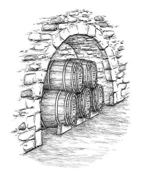 Vector illustration of wine cellar. Stock Illustration