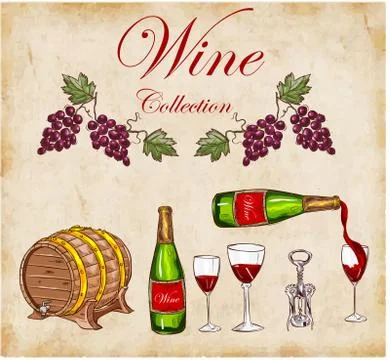 Vector illustration of a wine collection Stock Illustration